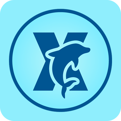 اپلیکیشن DolphinX VPN + دانلود مستقیم